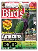 Cage & Aviary Birds